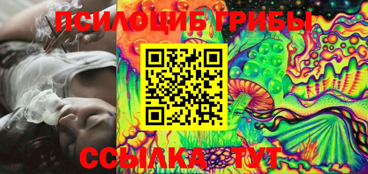 Камышин  Галлюциногенные грибы мицелий  Вход с VPN 